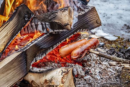 Zwei knackige Würstchen sind auf einem Stock aufgespießt und werden über einem Feuer gegrillt.